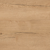 Sierra oak reproduction Sierra oak reproduction